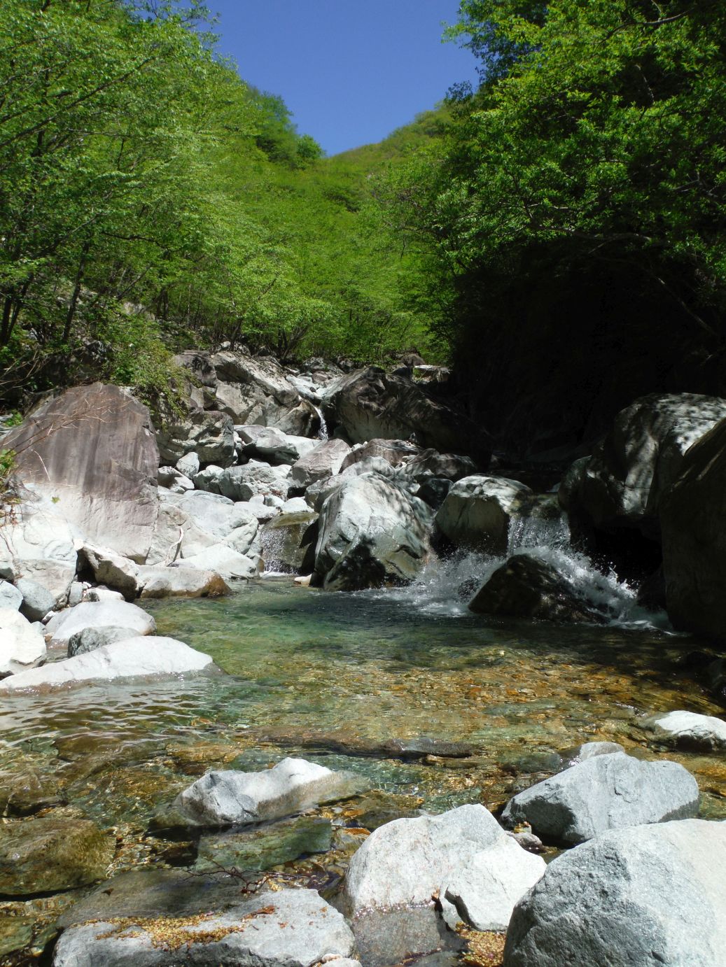 b0172805_7442891.jpg