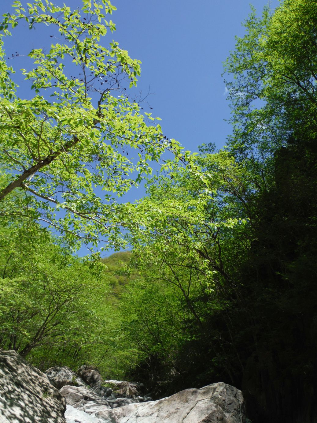 b0172805_7532149.jpg