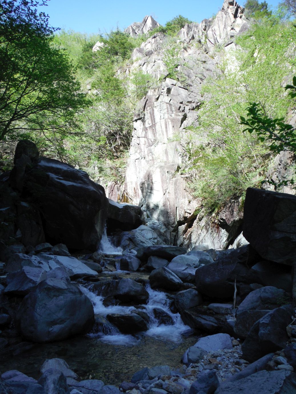 b0172805_835189.jpg