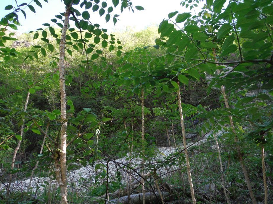 b0172805_8541183.jpg