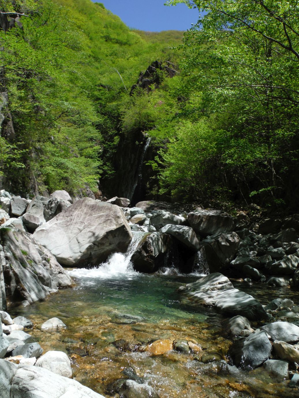 b0172805_895230.jpg