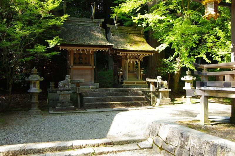 天理市福住町　氷室（ひむろ）神社の狛犬_d0342307_15393497.jpg