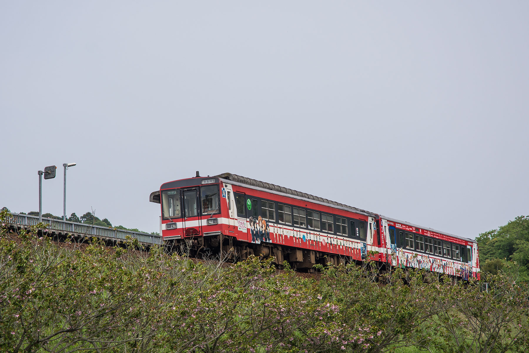 鹿島臨海鉄道 6000形 - 「ガールズ&パンツァーラッピング 2連運転