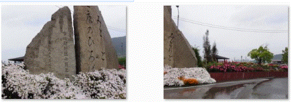 f0231709_2344074.gif