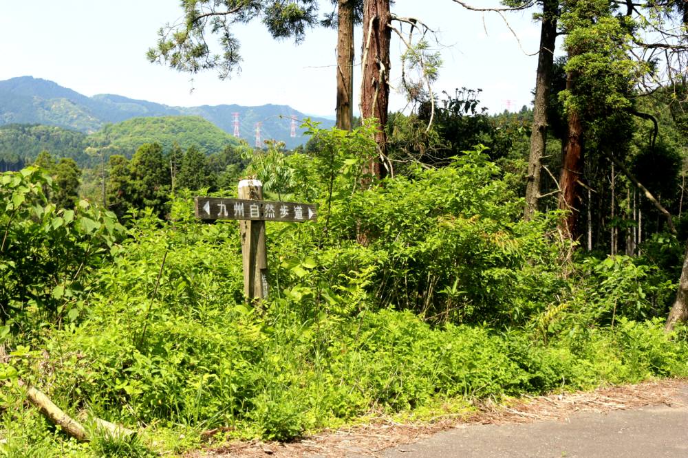 基山～九千部山の九州自然歩道縦走_f0212511_2211239.jpg