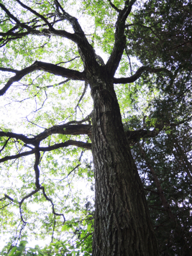 c0346119_18115640.jpg
