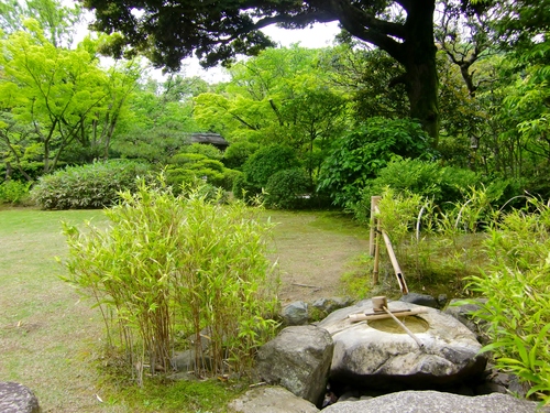 有楽苑（愛知県犬山市）_c0219820_2340188.jpg