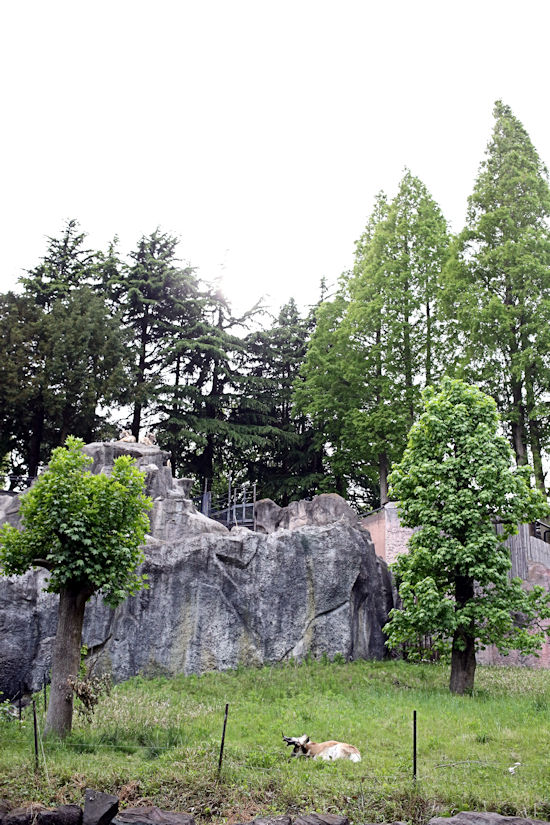 f0224624_22144150.jpg
