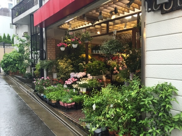 b0164428_16172700.jpeg