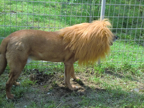 c0236632_8382548.jpg