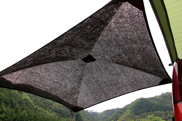a0056140_1518485.gif