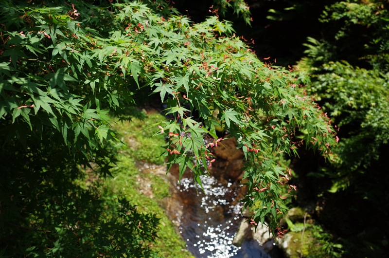 f0169147_18101844.jpg