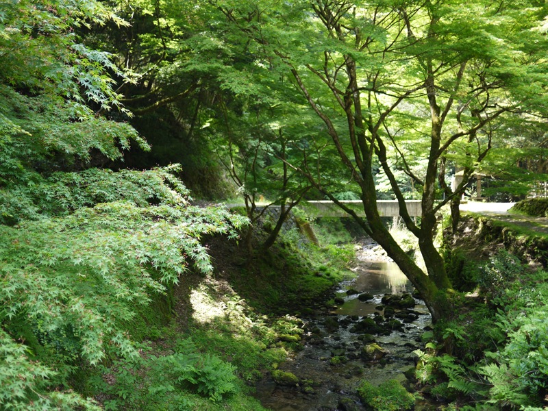 f0169147_1812622.jpg