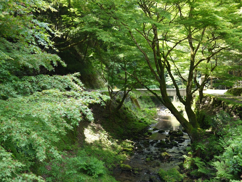 鰐淵寺と浮浪の滝_f0169147_1812622.jpg