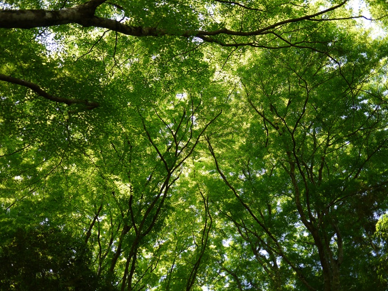 f0169147_18164640.jpg