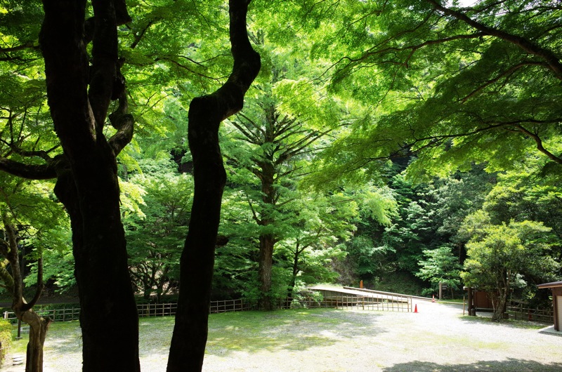 鰐淵寺と浮浪の滝_f0169147_18182639.jpg