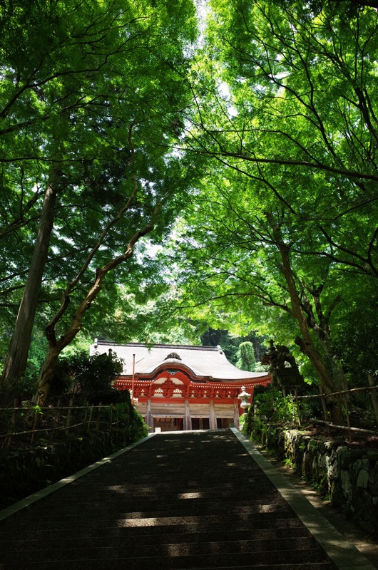 鰐淵寺と浮浪の滝_f0169147_18203882.jpg