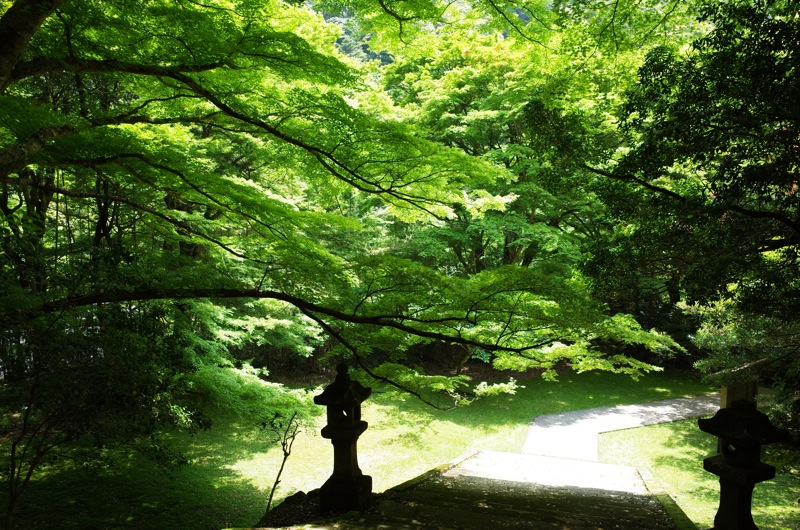 鰐淵寺と浮浪の滝_f0169147_18235194.jpg