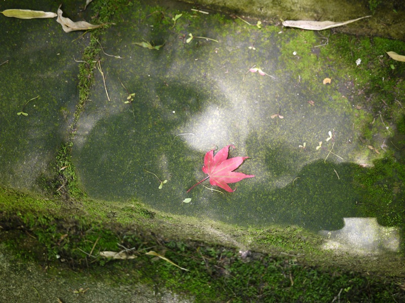 f0169147_18251519.jpg