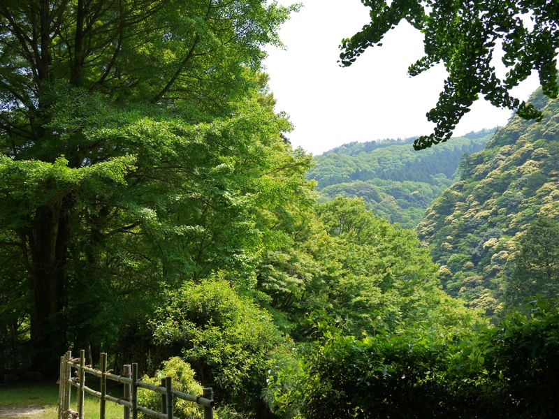 鰐淵寺と浮浪の滝_f0169147_1830984.jpg