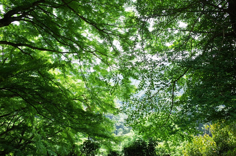 f0169147_18322713.jpg