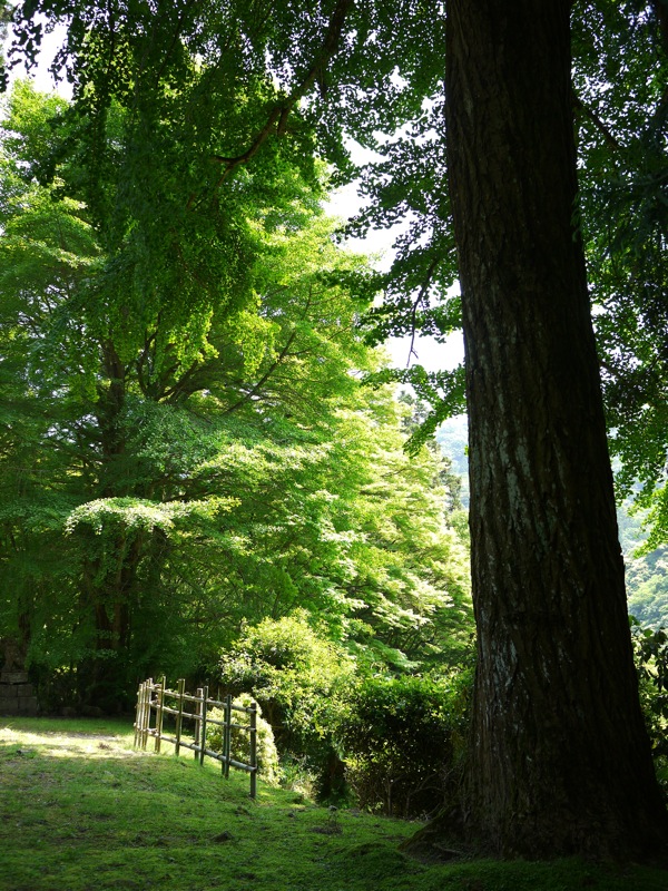 f0169147_18332678.jpg