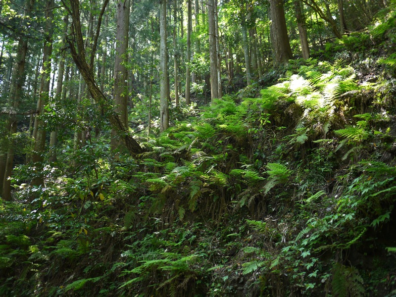 f0169147_1844810.jpg