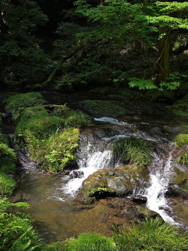 鰐淵寺と浮浪の滝_f0169147_1853321.jpg