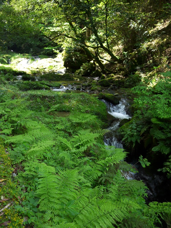 f0169147_185989.jpg