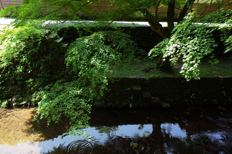 鰐淵寺と浮浪の滝_f0169147_1874045.jpg