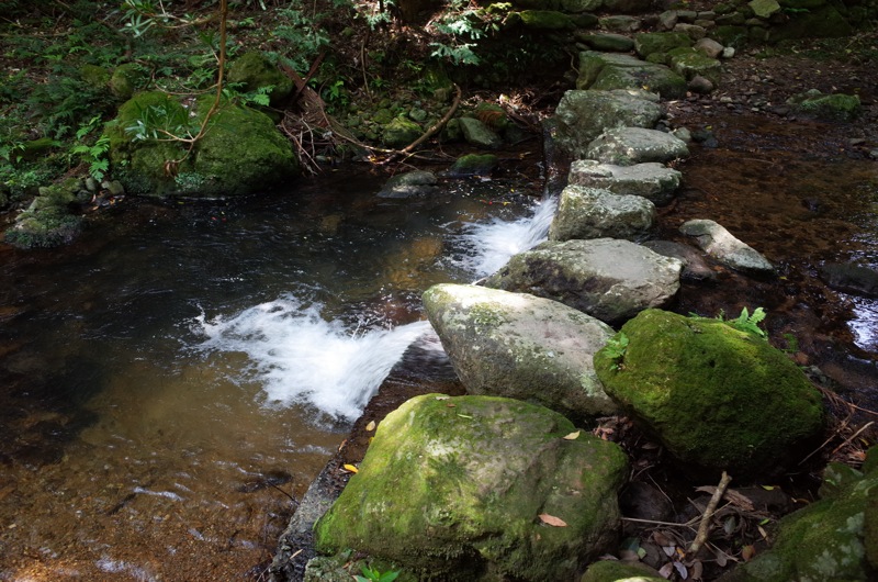 f0169147_2019460.jpg