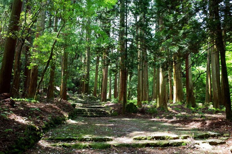 f0169147_20195670.jpg