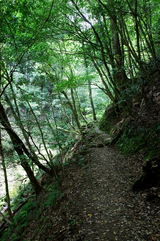 鰐淵寺と浮浪の滝_f0169147_20225547.jpg