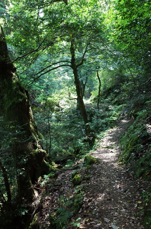 f0169147_20234473.jpg