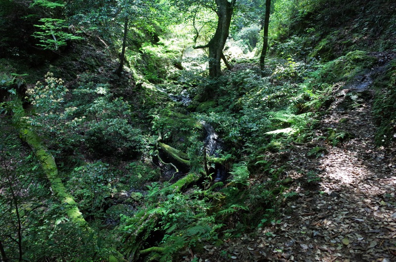 f0169147_20241646.jpg