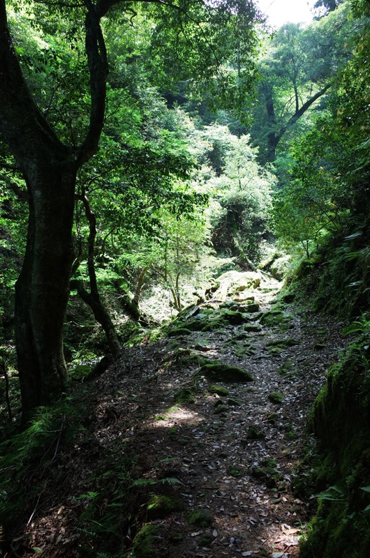 f0169147_2024313.jpg