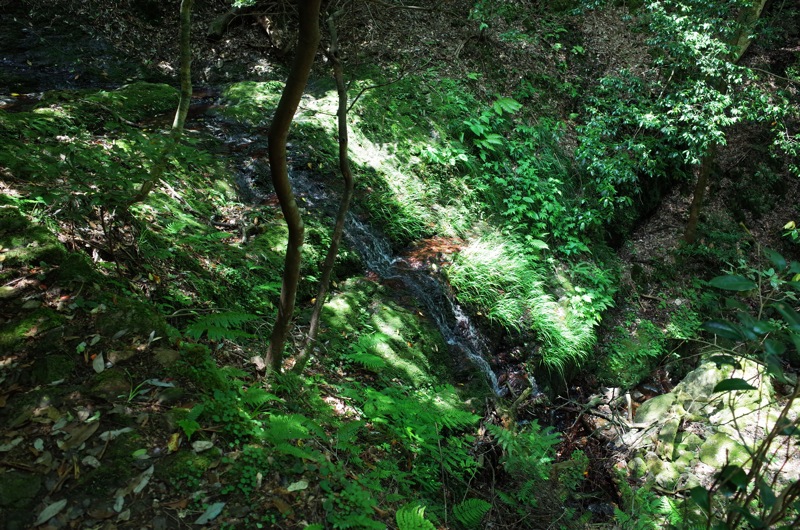 f0169147_20262342.jpg