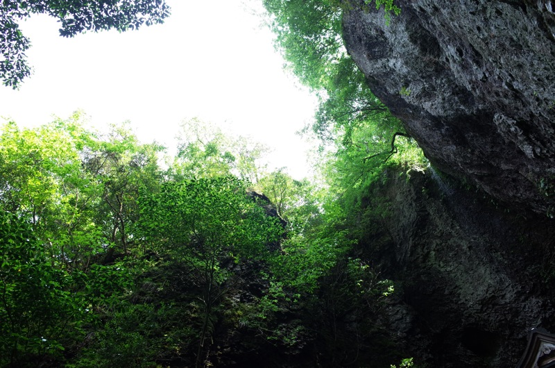 f0169147_2027389.jpg