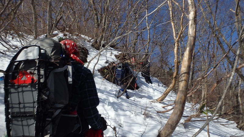 【美濃／虎子(トラス)山】寡雪の冬は“虎の子”の残雪求めてヤブ山彷徨_c0097754_14042892.jpg