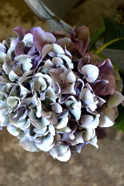 ご注文のお花たち。。。_a0229658_15332214.jpg