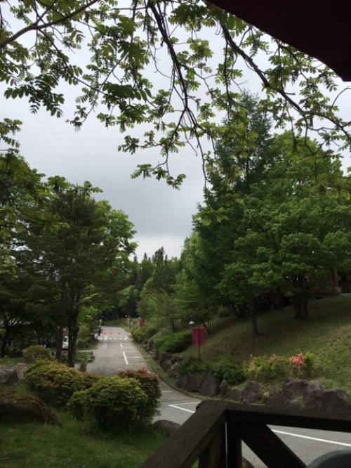 b0125570_10382539.jpg