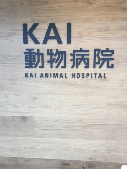 KAI動物病院_a0223471_22083298.jpeg