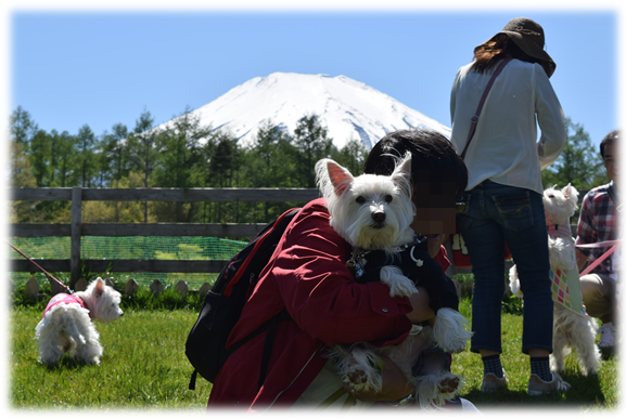 ♪ ダニエル Woof ランチ＆集合写真～ヽ(*^^*)ノ ♪_b0242873_00251284.png