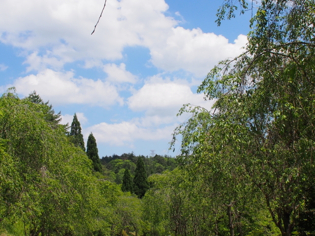 新緑のMIHO MUSEUM_d0042474_00091020.jpg