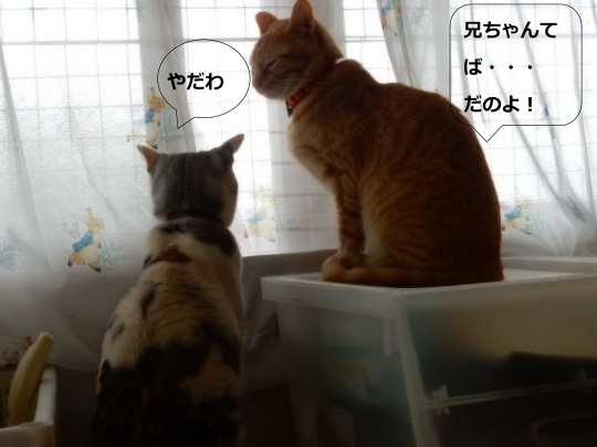 女子の噂話_e0355177_16490999.jpg