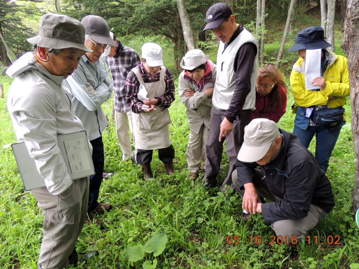 No.1264　里山体験会　同時開催：山菜料理を楽しむ_f0104277_12114753.jpg