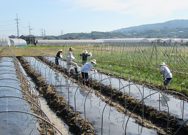 ようこそ！南島原へ～茅ヶ崎中学校 体験中～_a0154879_1931326.jpg