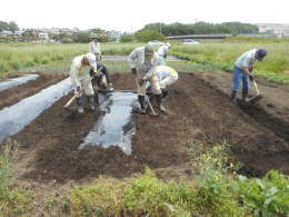 平成２８年度　菜の花農業体験教室　開校　　　２０１６年5月１４日_c0145581_9234917.jpg