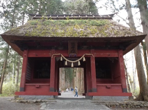 d0115985_16120669.jpeg