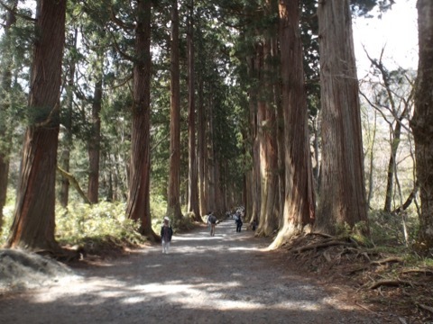 d0115985_16122274.jpeg